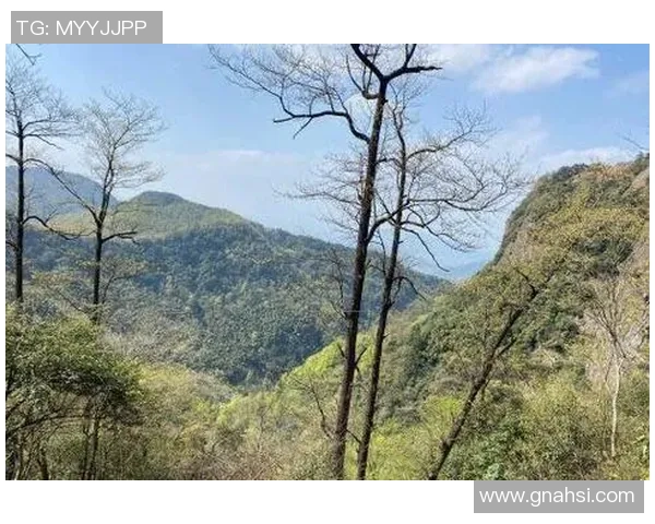 深度对话：周芳在英雄联盟中的成长与挑战之旅