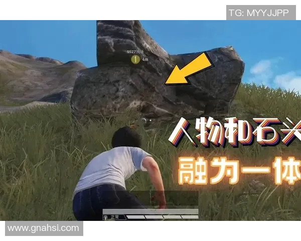 与陈丽对话探讨和平精英的成长历程与未来展望