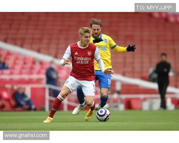 巴西与奥地利精彩对决图文直播全程回顾与分析